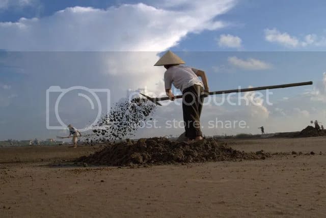 Phơi muối - Cách làm muối biển